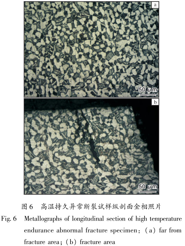 1716086085420096.jpg 未標題-2.jpg