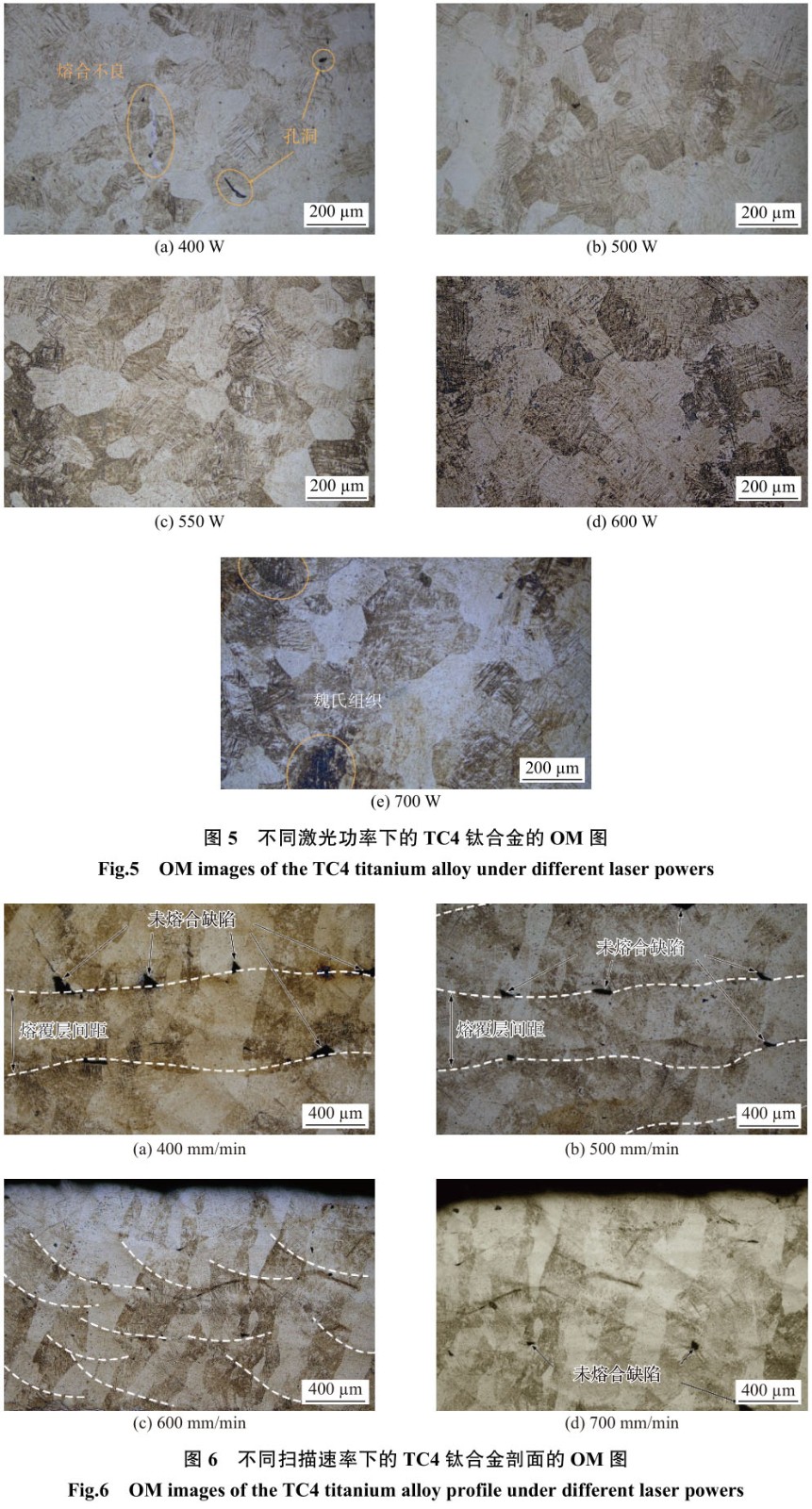 1716106016449667.jpg t5-6.jpg