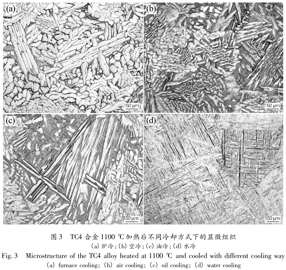 1704926419772240.jpg t3.jpg