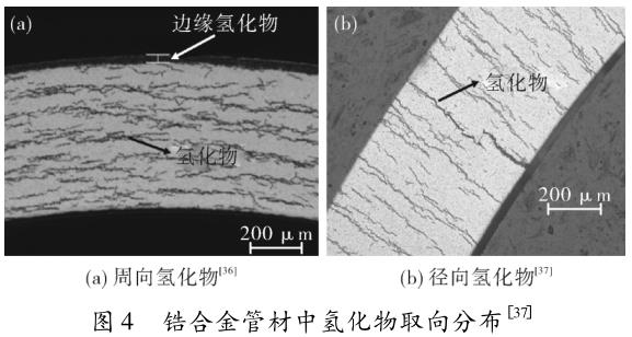 1720175359781013.jpg 360截圖1641011311497117.jpg