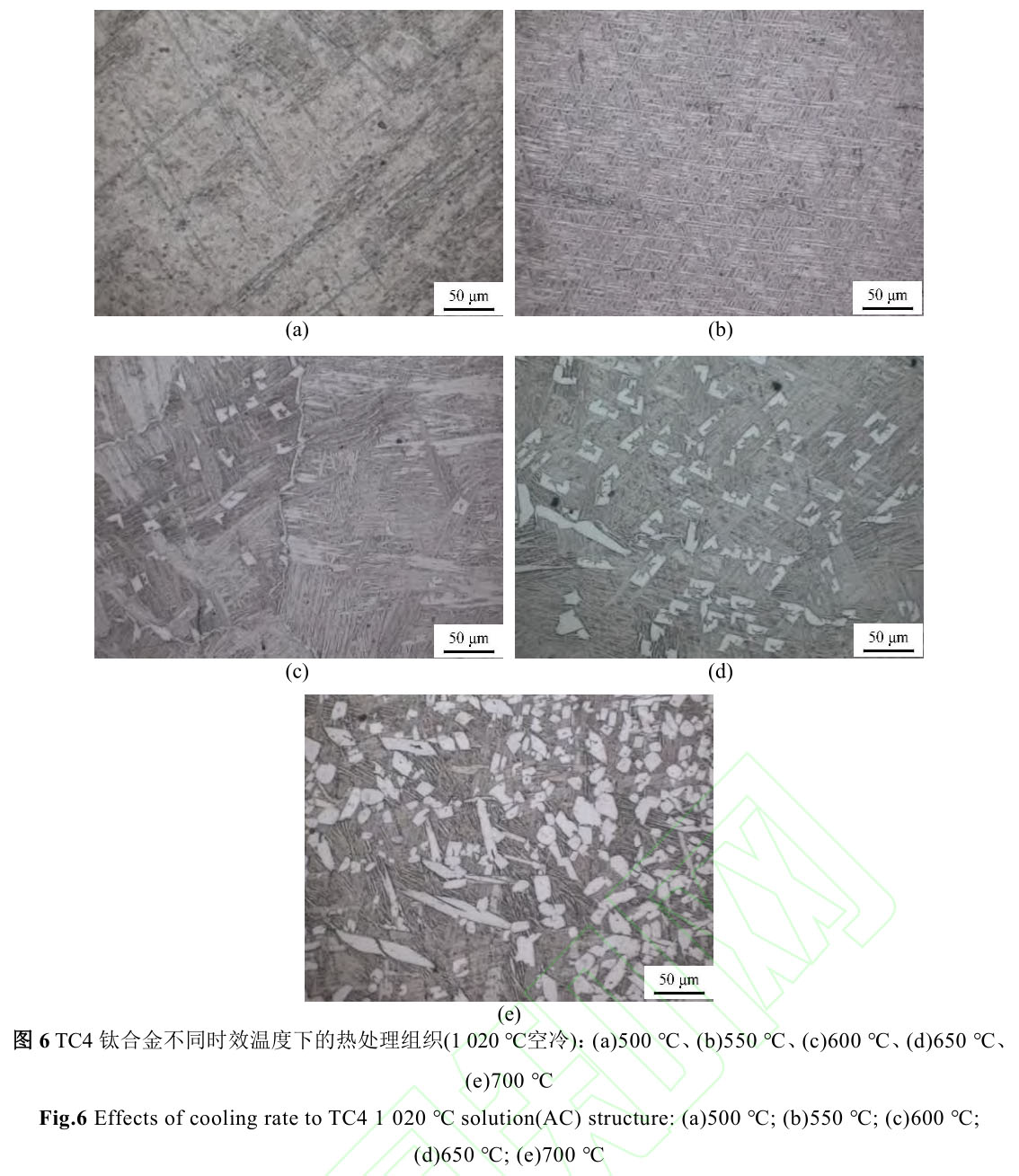 1720272872853831.jpg 圖6.jpg