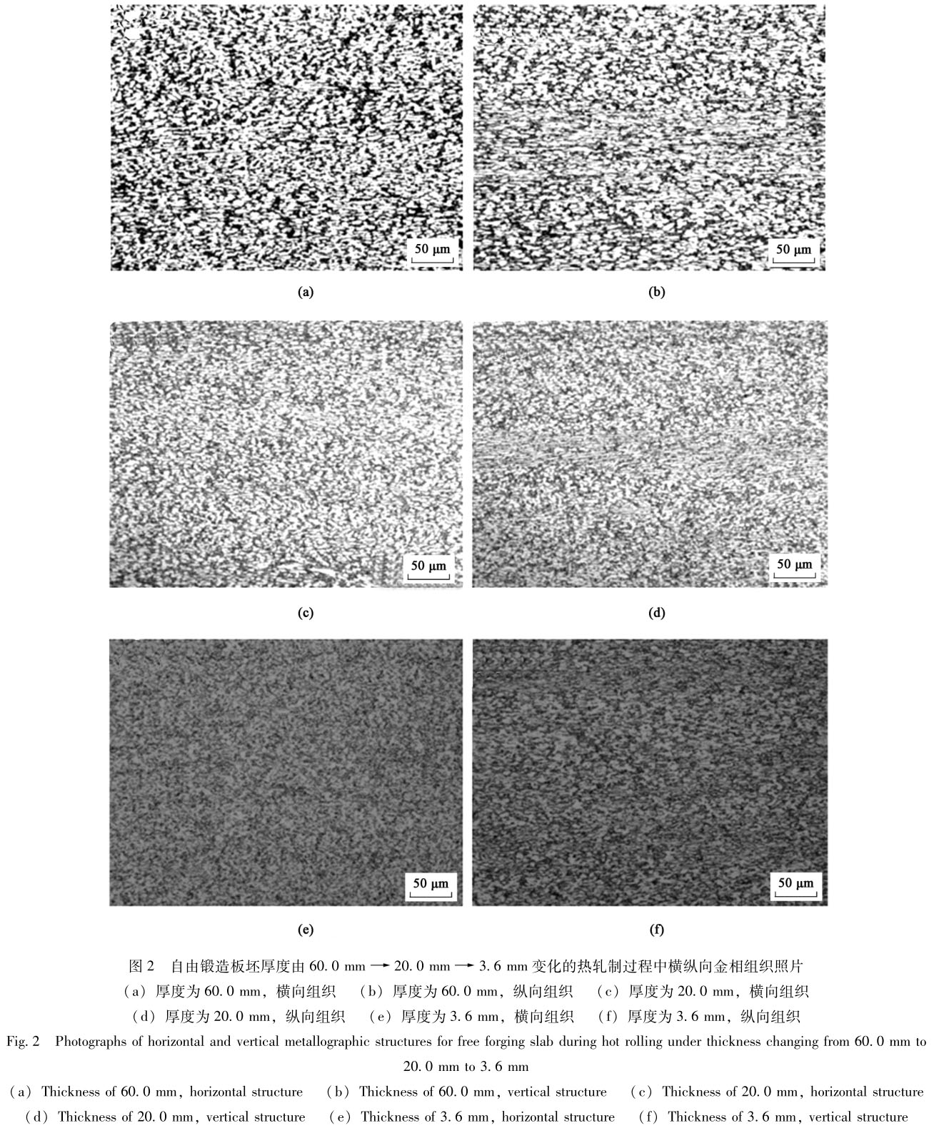 1720353816552243.jpg t2.jpg