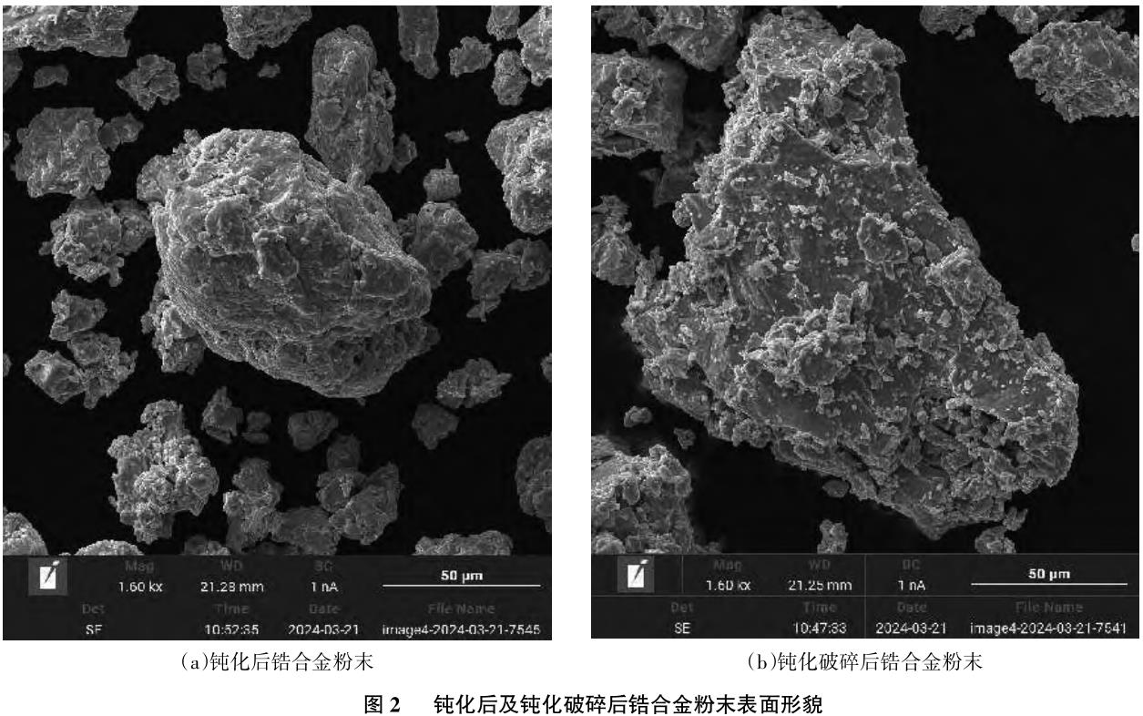 1729157577930999.jpg 360截圖16411210736859.jpg