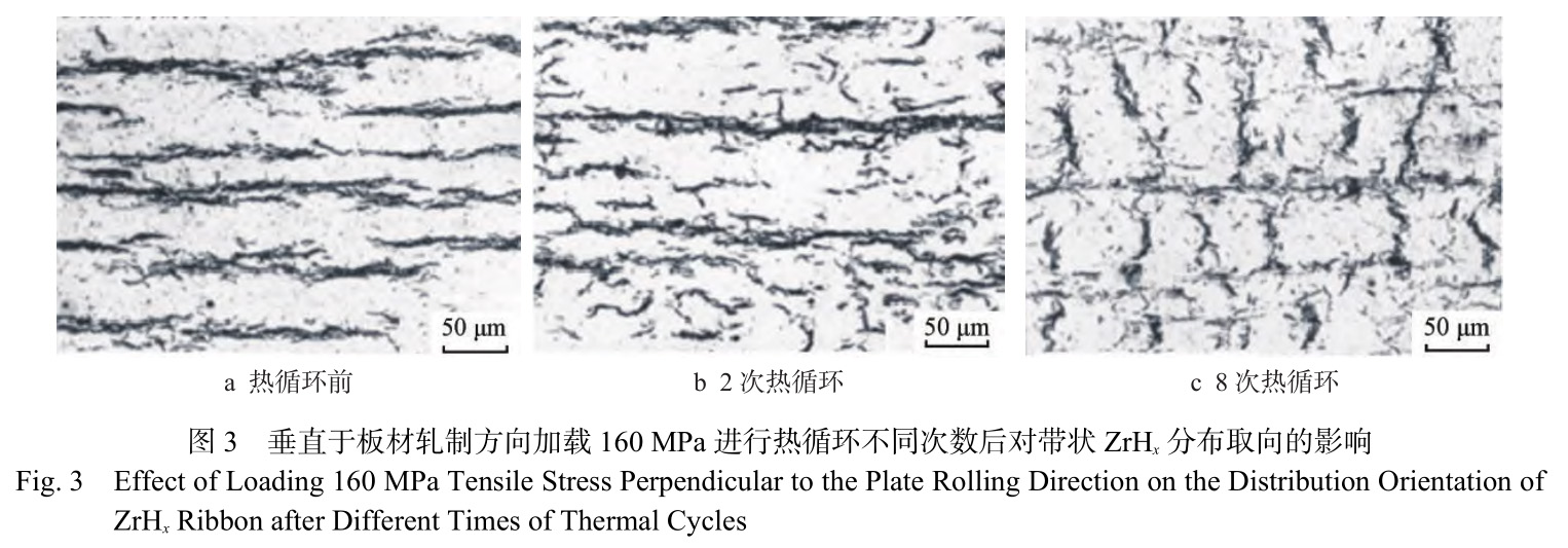 1729481778616843.jpg 3.jpg