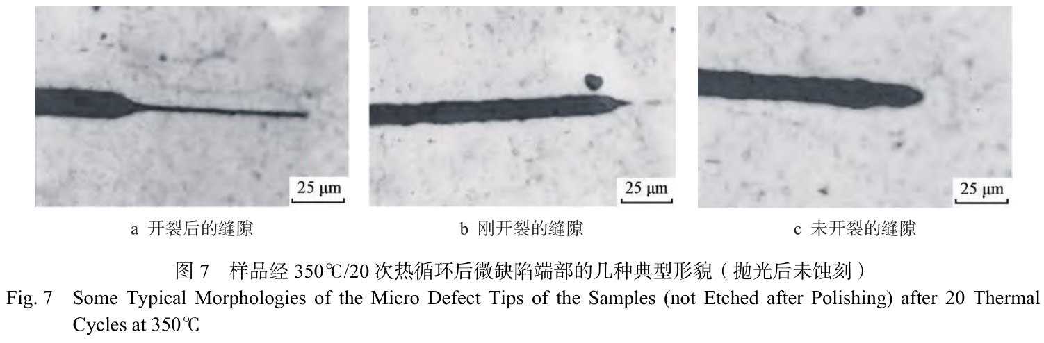 1729481815831883.jpg 7.jpg