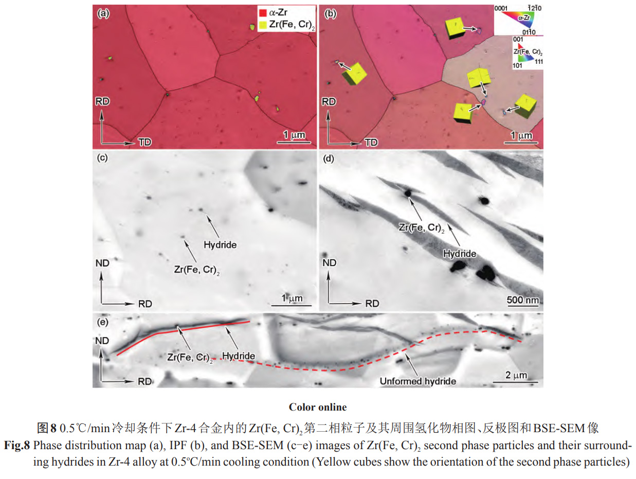 1734144500960157.jpg 8.jpg