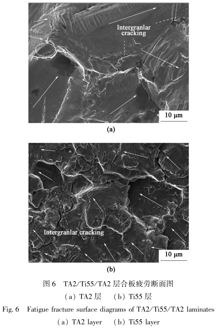 1722830173372967.jpg t6.jpg