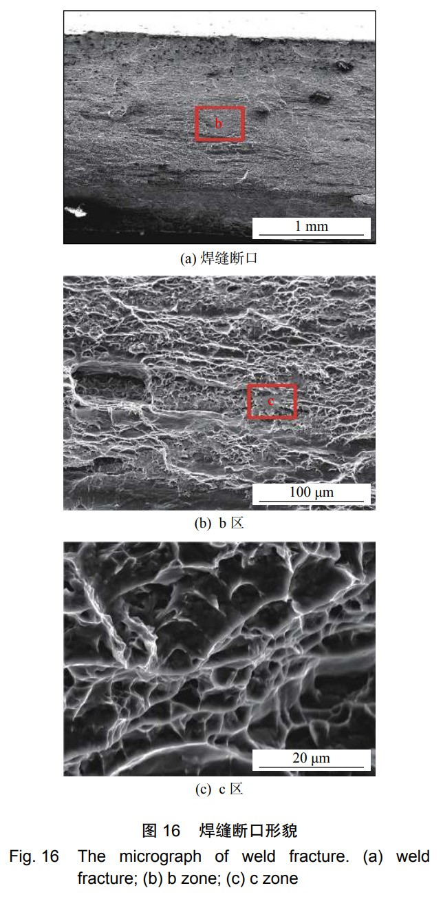 1735444342328922.jpg 16.jpg